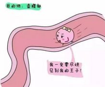 排卵有什么感觉？